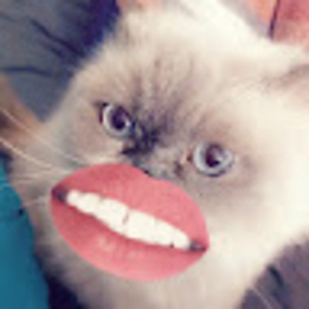 Meet your Posher, Andrea